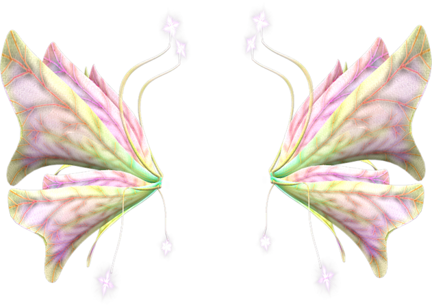 Pastel_ Fairy_ Wings_ Symmetrical_ Design.png PNG Image