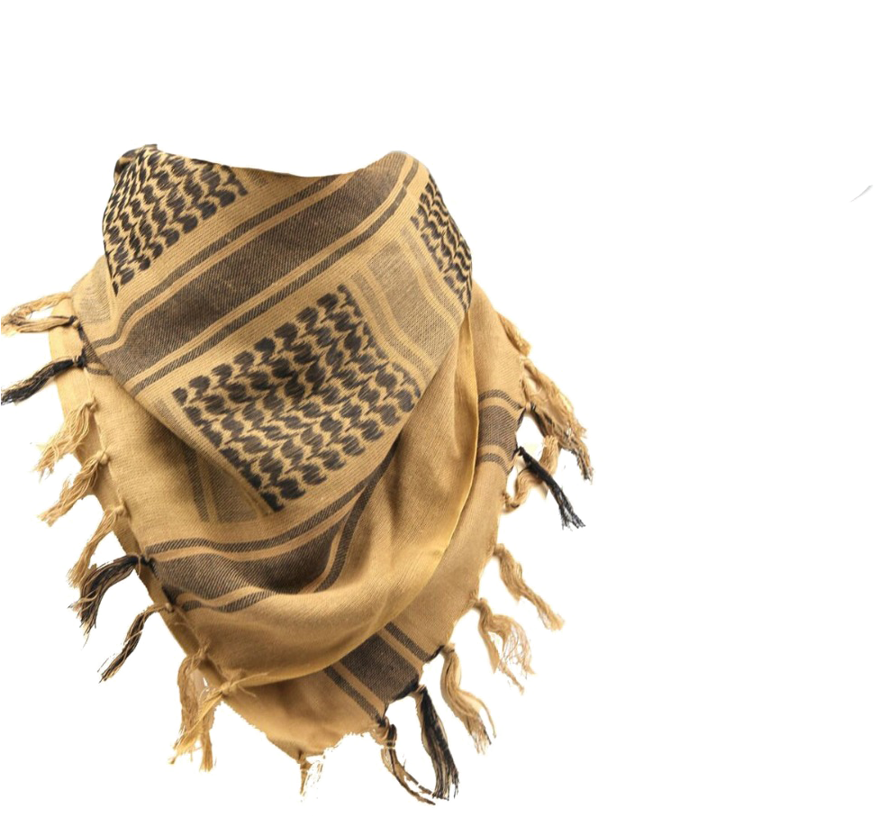 Patterned Brown Scarfwith Fringe PNG Image