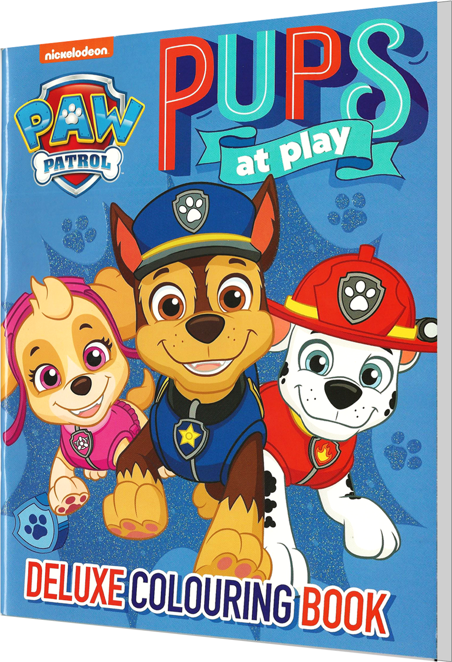 Paw Patrol Pupsat Play Coloring Book Cover PNG Image