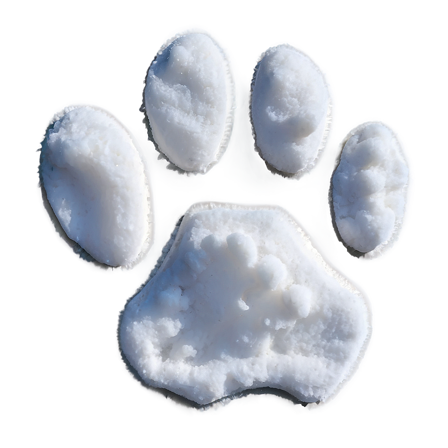 Paw Print In Snow Png 05042024 PNG Image