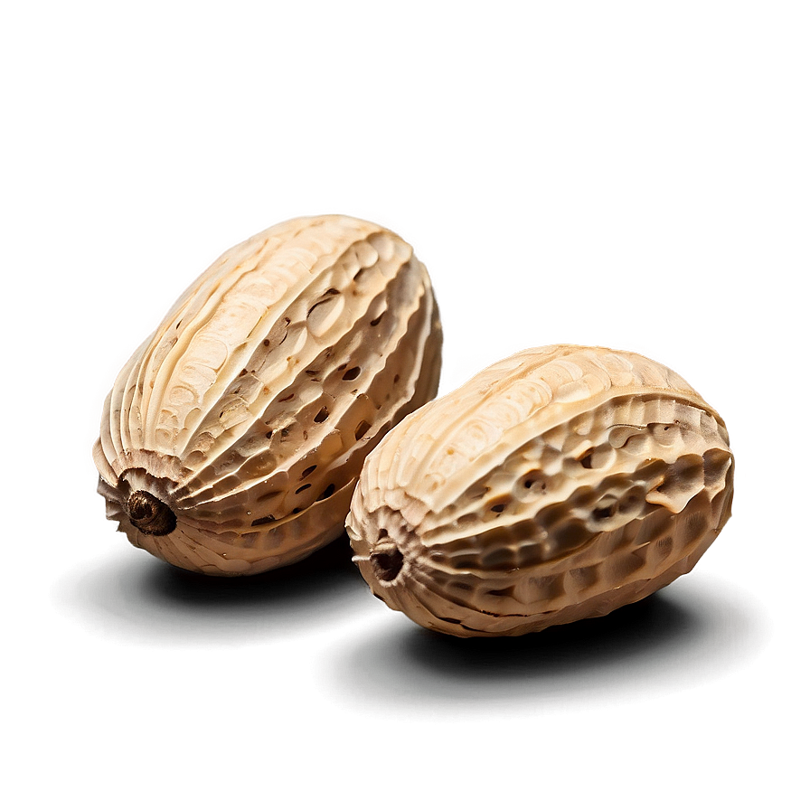 Peanut In Shell Closeup Png 46 PNG Image