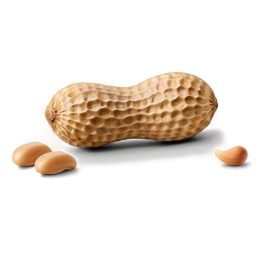 Peanut Png Oub | PNGimages.com