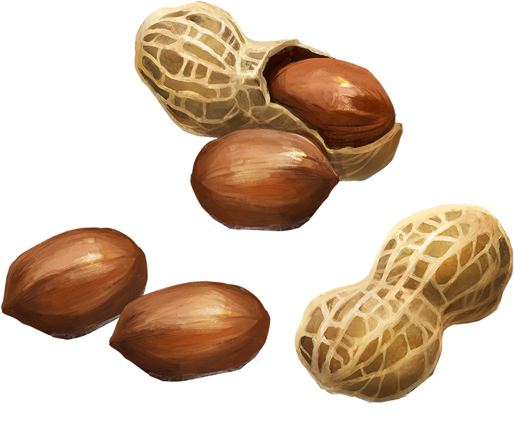 Peanuts Illustration PNG Image