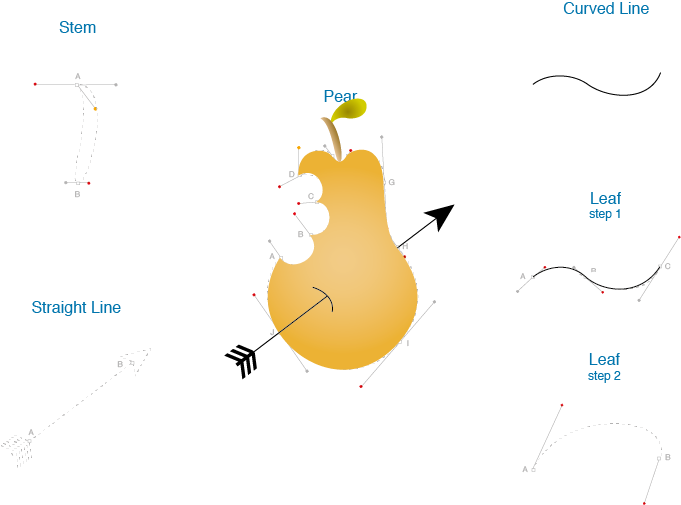 Pear Vector Diagram PNG Image