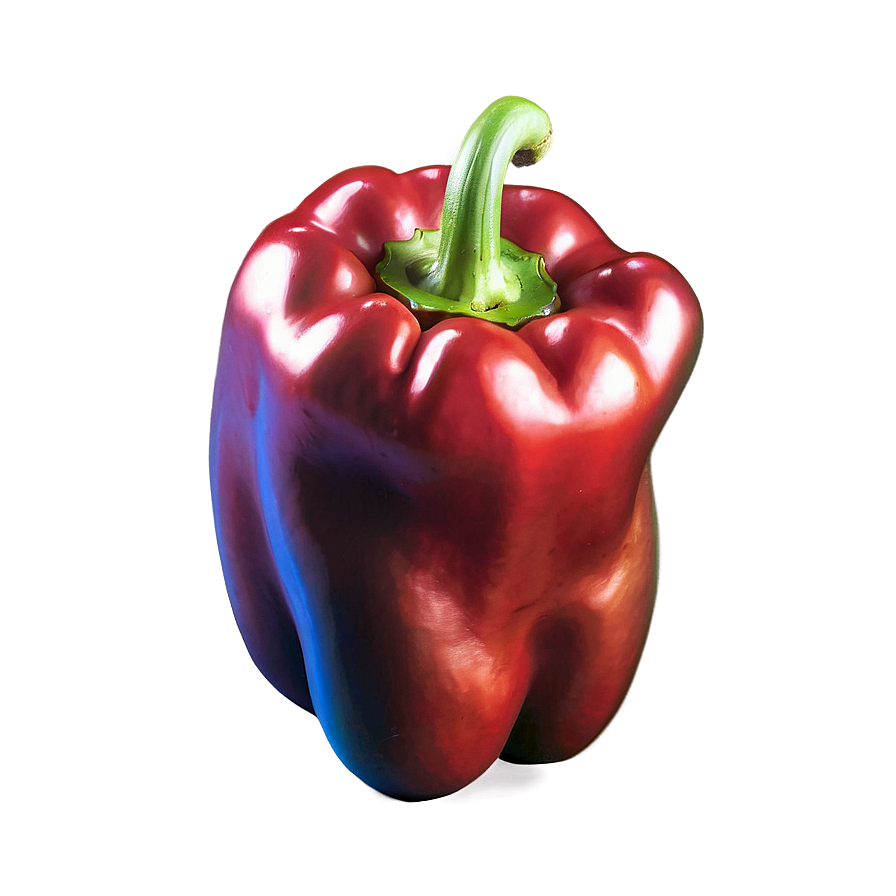 Pepper Sketch Png 59 PNG Image