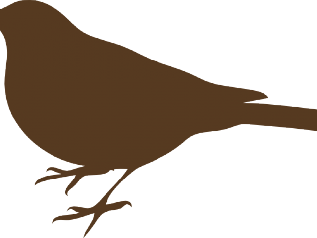 Perched Bird Silhouette PNG Image