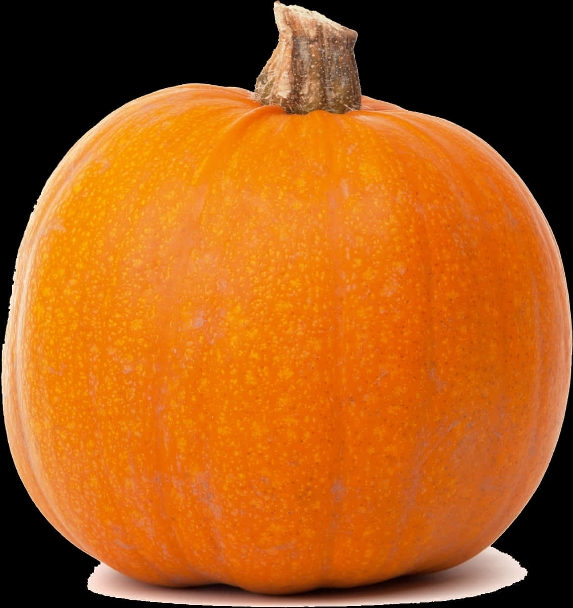 Perfect Orange Pumpkin Black Background PNG Image