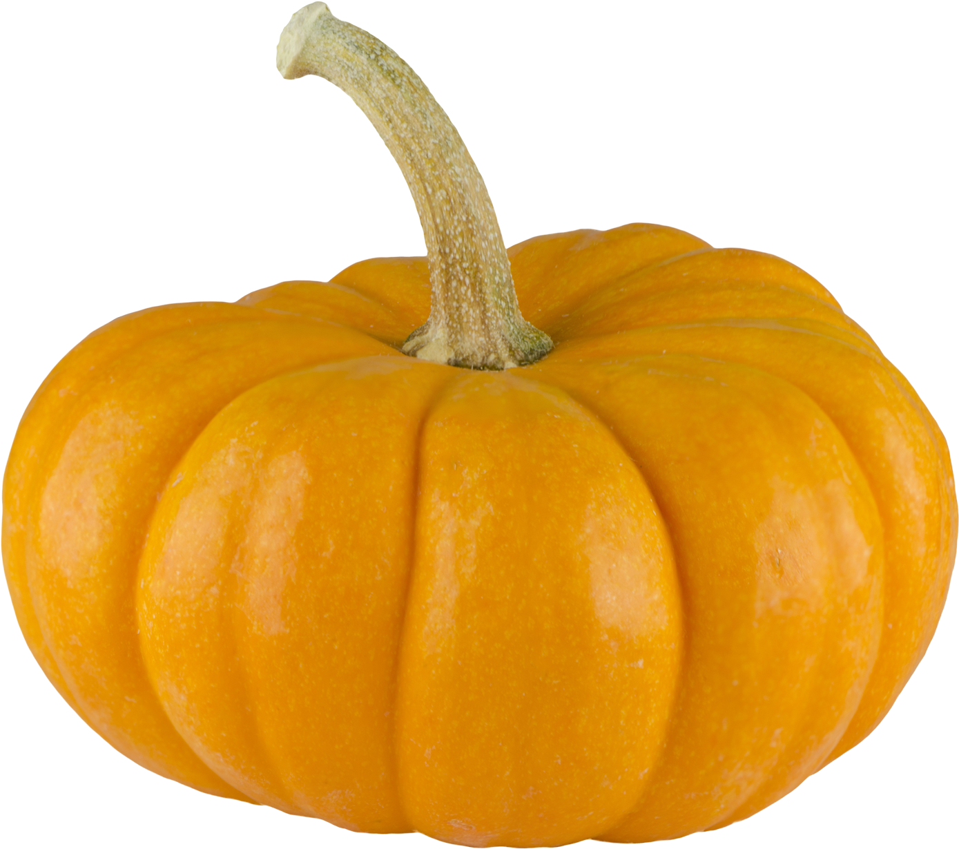 Perfect Orange Pumpkinon Blue Background.png PNG Image