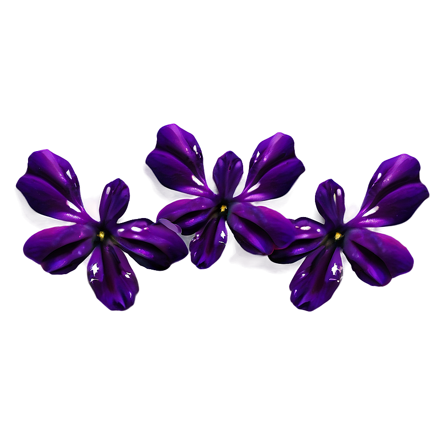 Petals And Stars Png Aee PNG Image