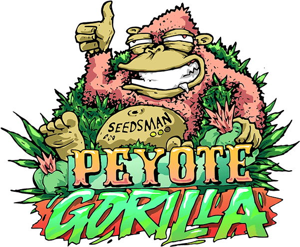 Peyote Gorilla Cartoon PNG Image