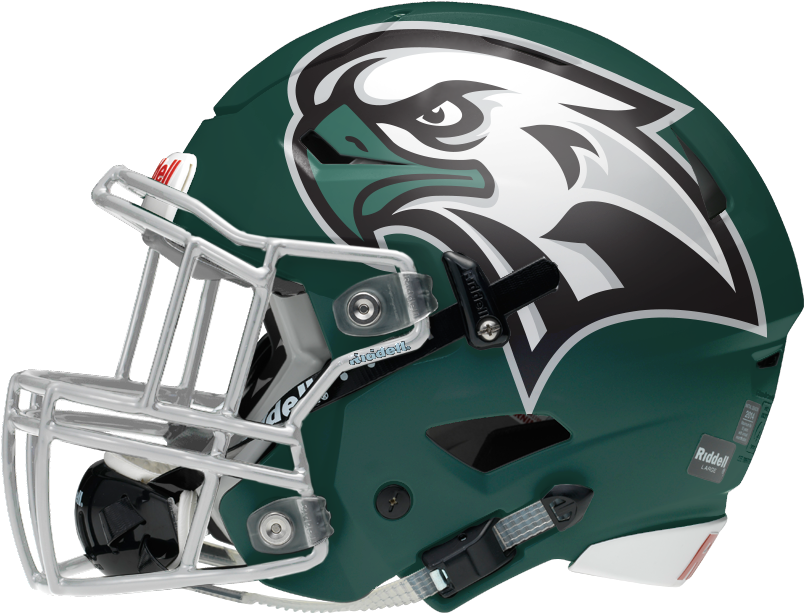 Philadelphia Eagles Helmet Design PNG Image