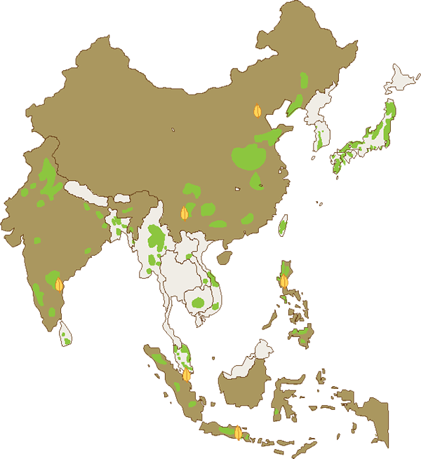 Philippines Vegetation Map PNG Image