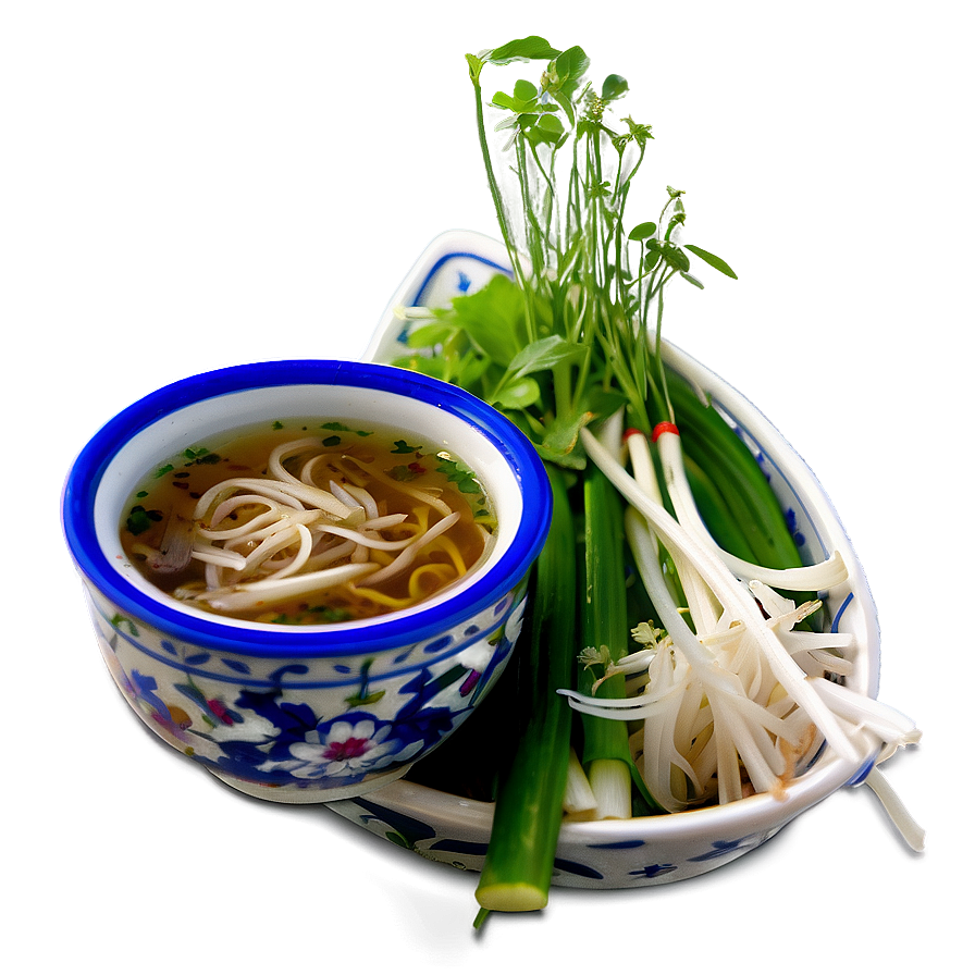 Pho With Bean Sprouts Png 06202024 PNG Image