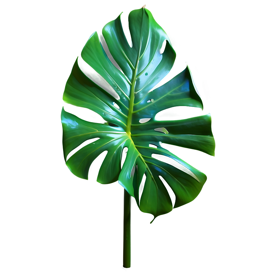 Photorealistic Monstera Leaf Png 22 PNG Image