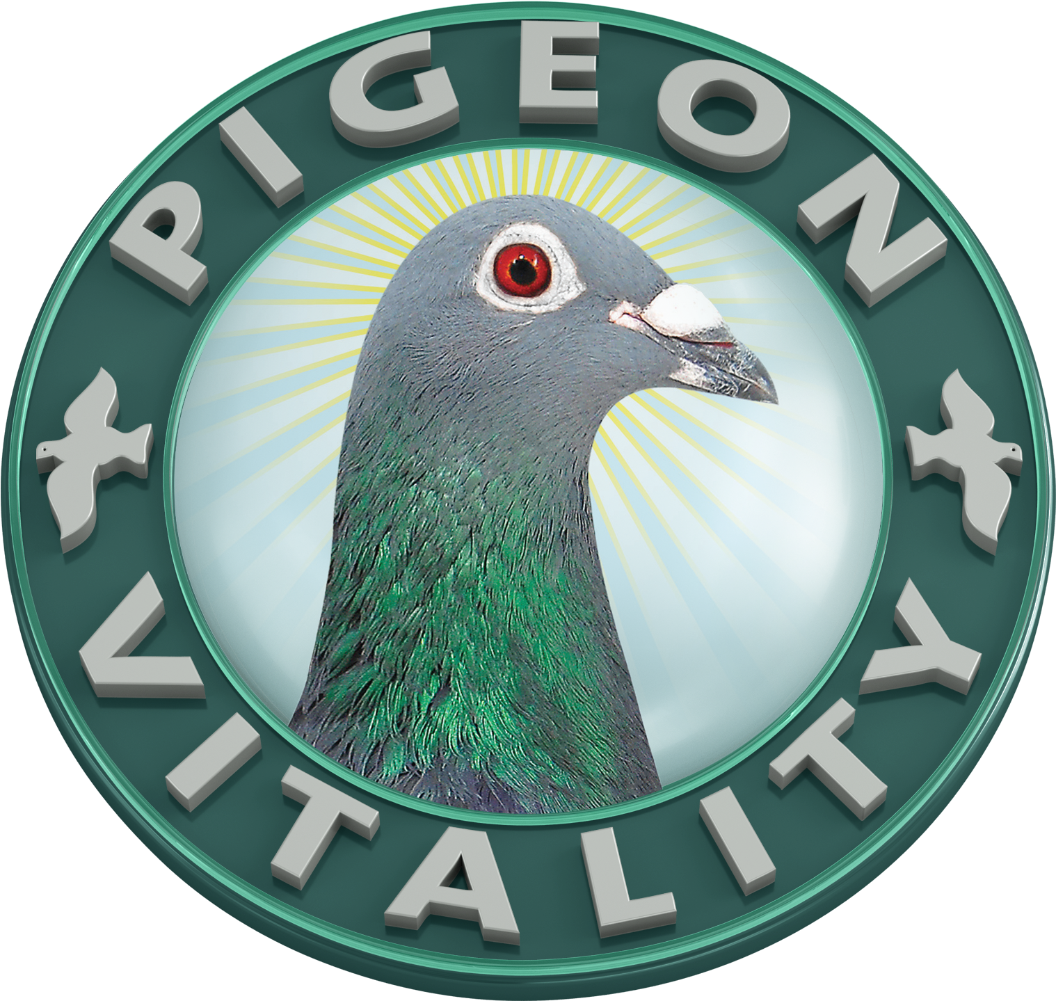 Pigeon Vitality Logo PNG Image