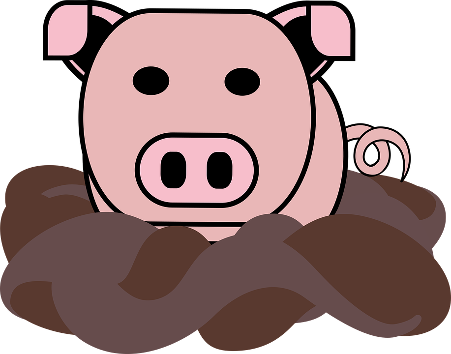 Pigin Mud Cartoon PNG Image