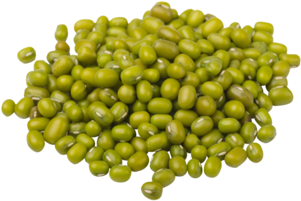 Pileof Green Beans PNG Image