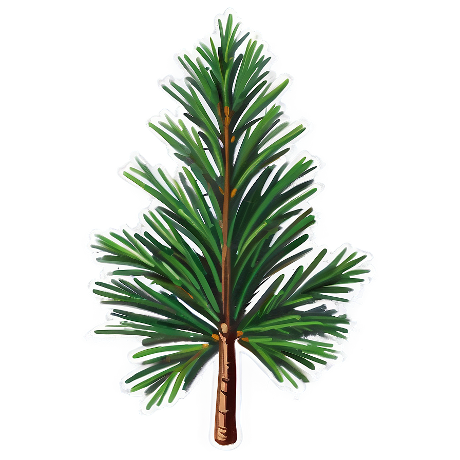 Pine C PNG Image