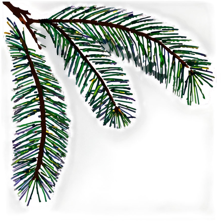 Pine Tree Branch Png 58 PNG Image