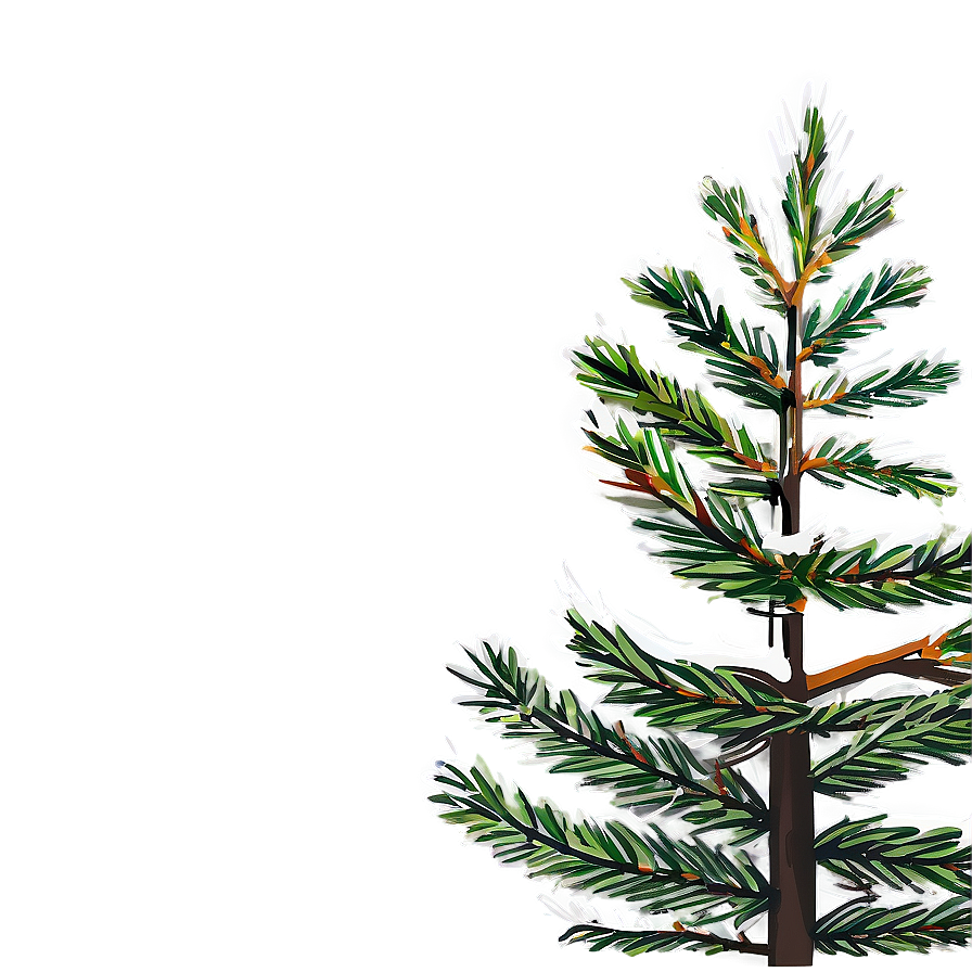 Pine Tree Illustration Png Fjo29 PNG Image