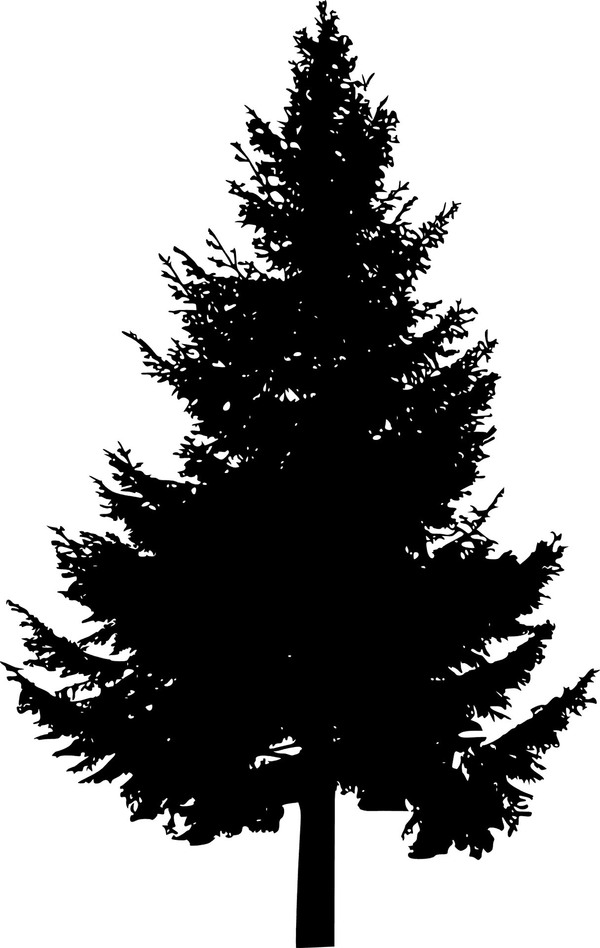 Pine Tree Silhouette PNG Image