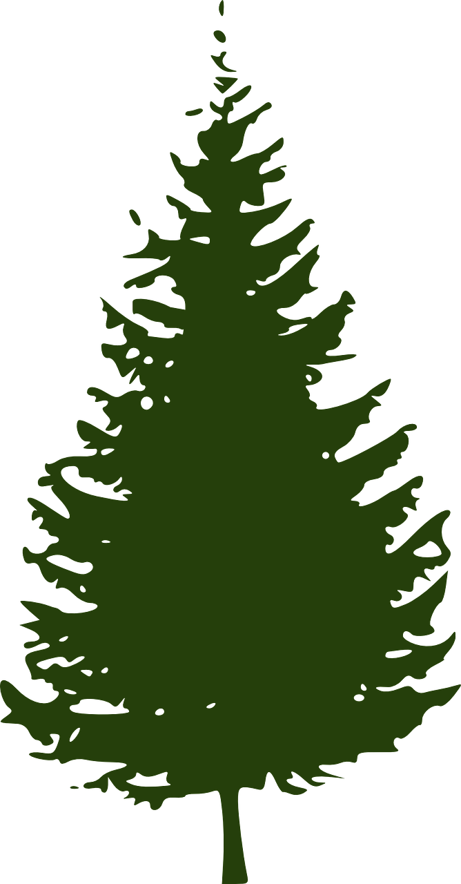 Pine Tree Silhouette Graphic PNG Image