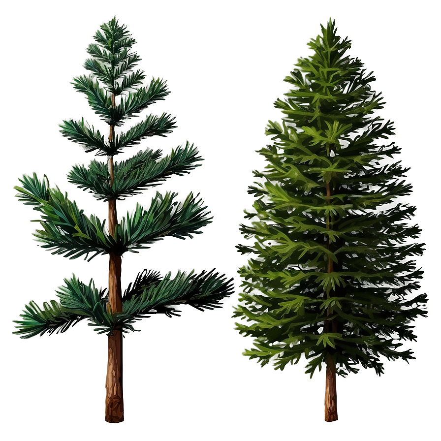 Pine Trees In The Mist Png Mef13 PNG Image