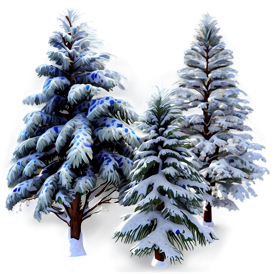 Pine Trees In Winter Png Dwx PNG Image