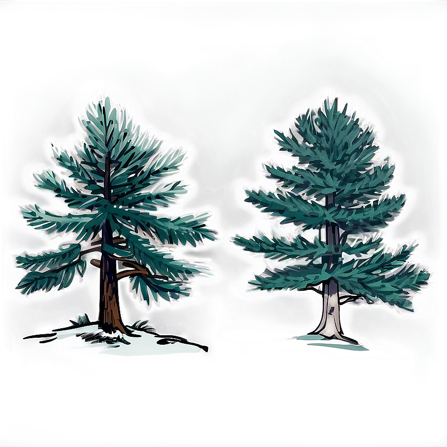 Pine Trees Sketch Png 05252024 PNG Image