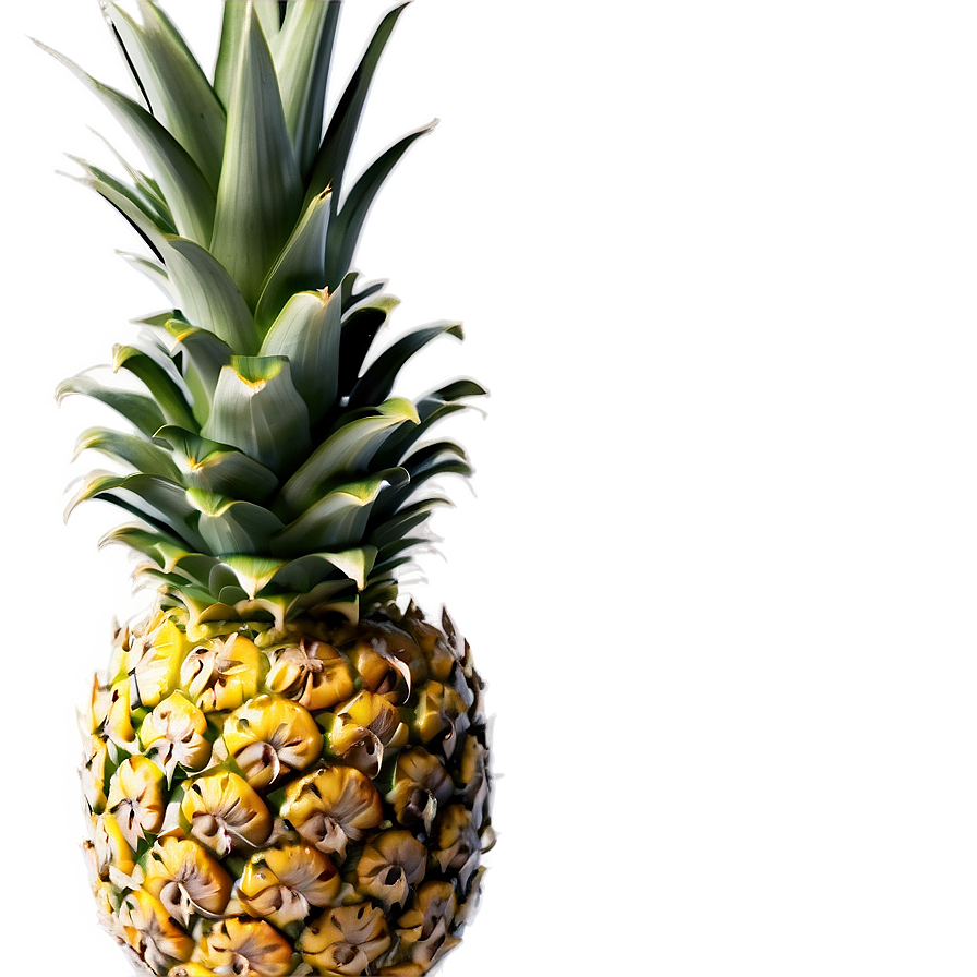 Pineapple Piece Png Wnx91 PNG Image