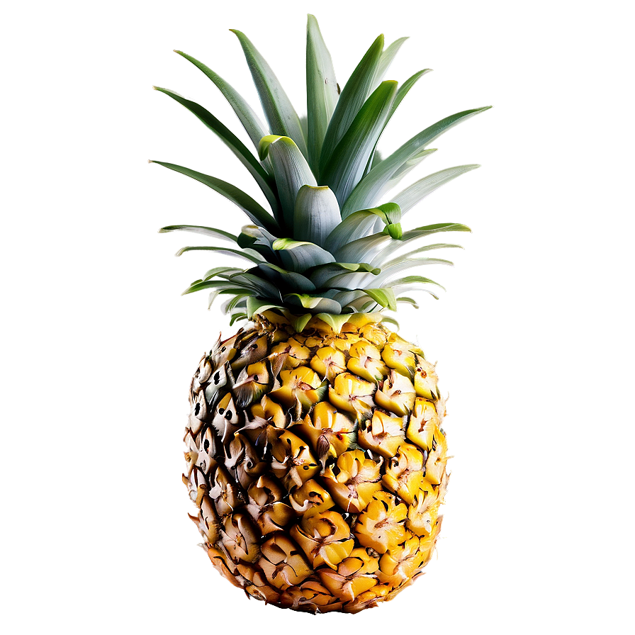 Pineapple Png 87 PNG Image