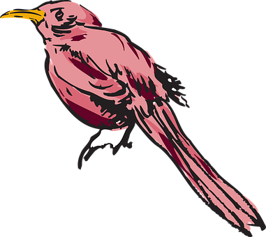 Pink Bird Illustration PNG Image