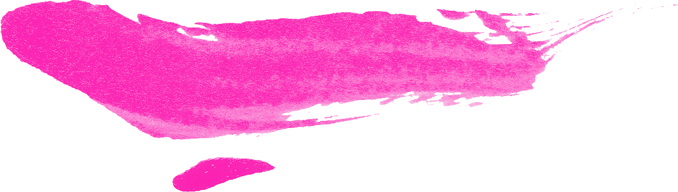 Pink Brush Stroke Vector PNG Image