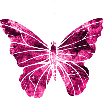 Pink Butterfly Artwork PNG Image