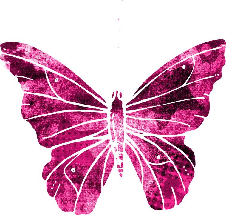 Pink Butterfly Graphic Art PNG Image