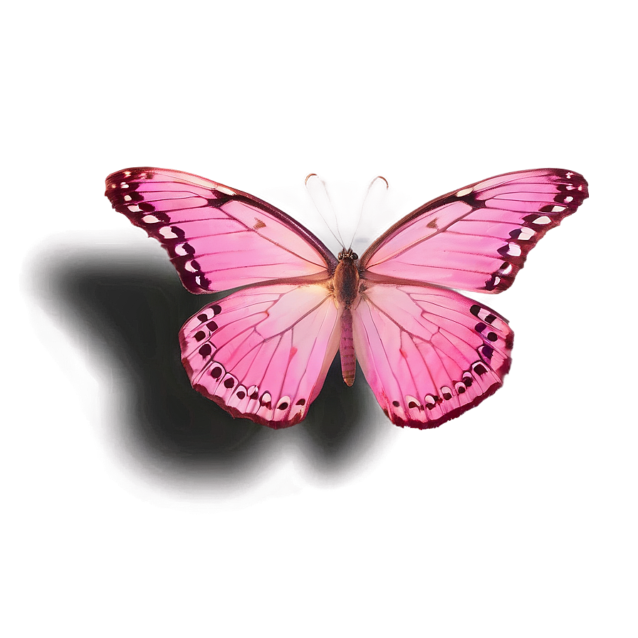 Pink Butterfly In Flight Png Eyg97 PNG Image