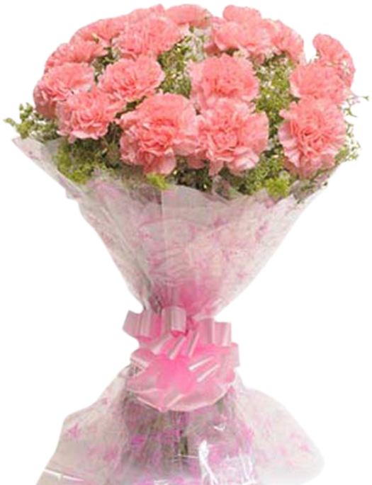 Pink Carnation Bouquet PNG Image