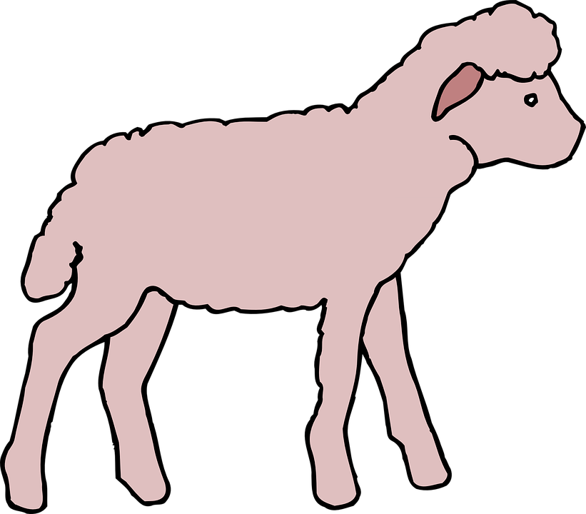 Pink Cartoon Lamb PNG Image