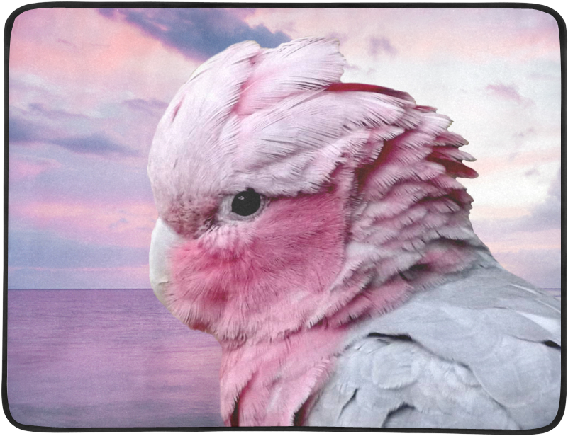 Pink Cockatoo Sunset Portrait PNG Image