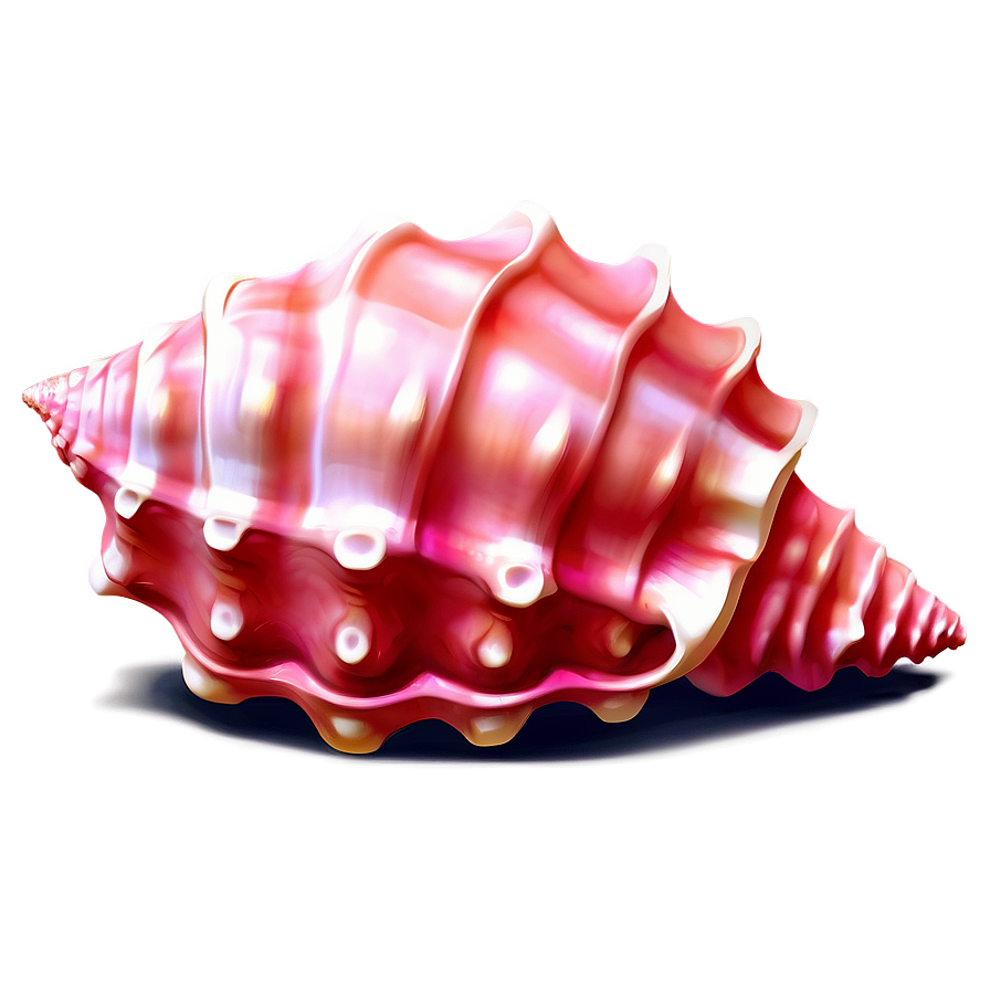 Pink Conch Shell Illustration Png 06132024 PNG Image