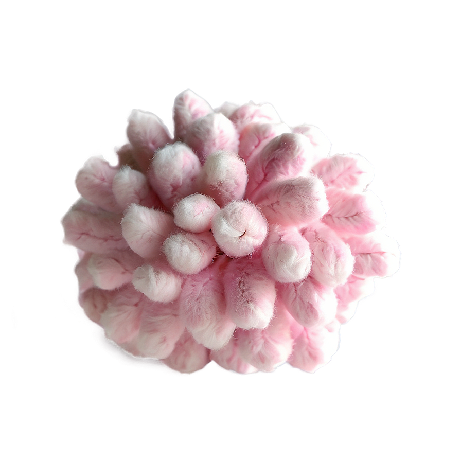 Pink Cotton Puff Png Whf15 PNG Image