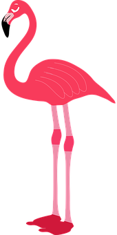 Pink Flamingo Cartoon Illustration PNG Image