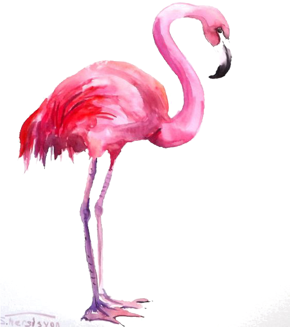 Pink Flamingo Watercolor Artwork PNG Image