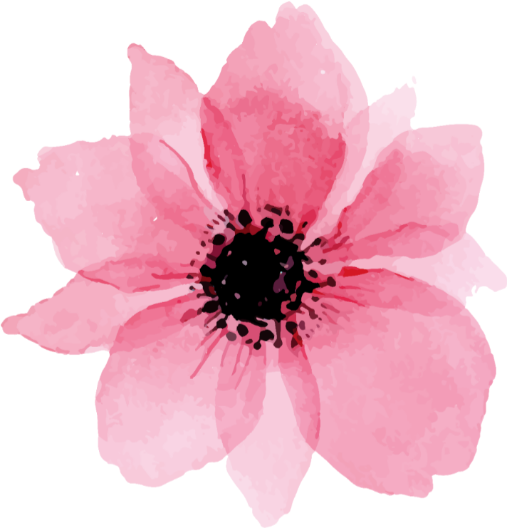 Pink Flower Illustration PNG Image