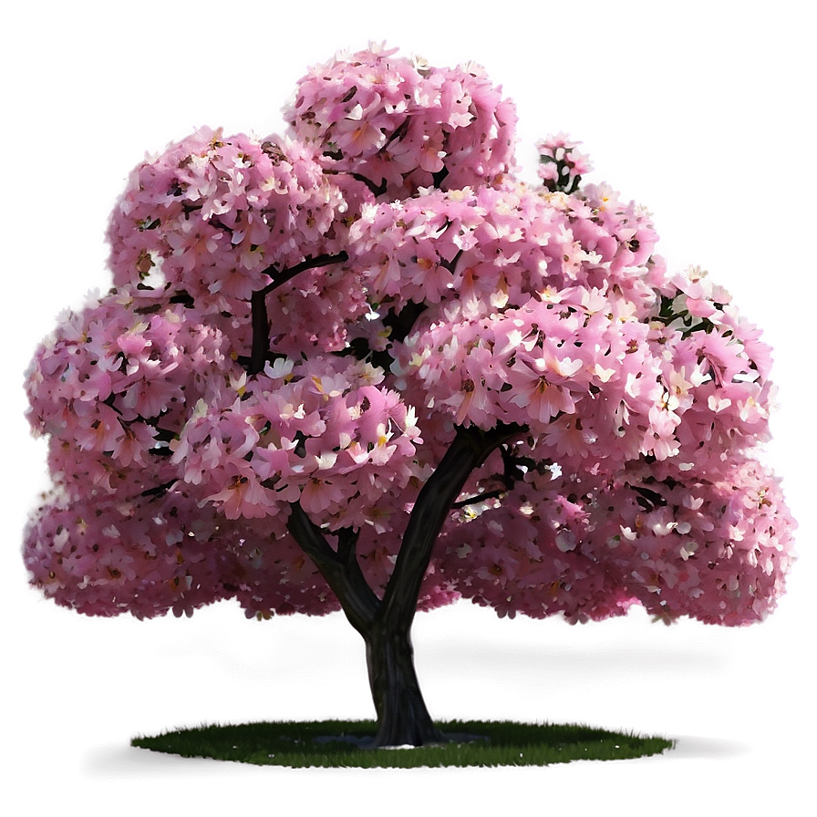 Pink Flower Tree Paradise Png 06282024 PNG Image