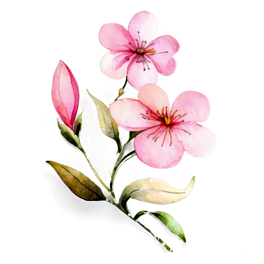 Pink Flower Watercolor Png 52 PNG Image