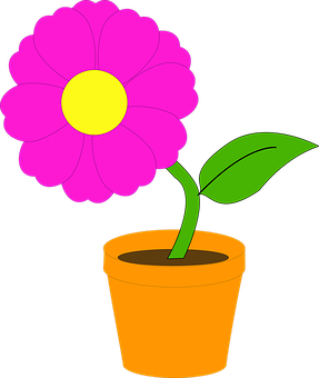 Pink Flowerin Pot Vector Illustration PNG Image