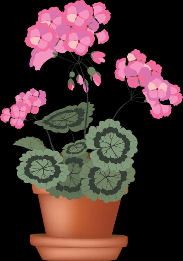 Pink Flowersin Terracotta Pot Illustration PNG Image