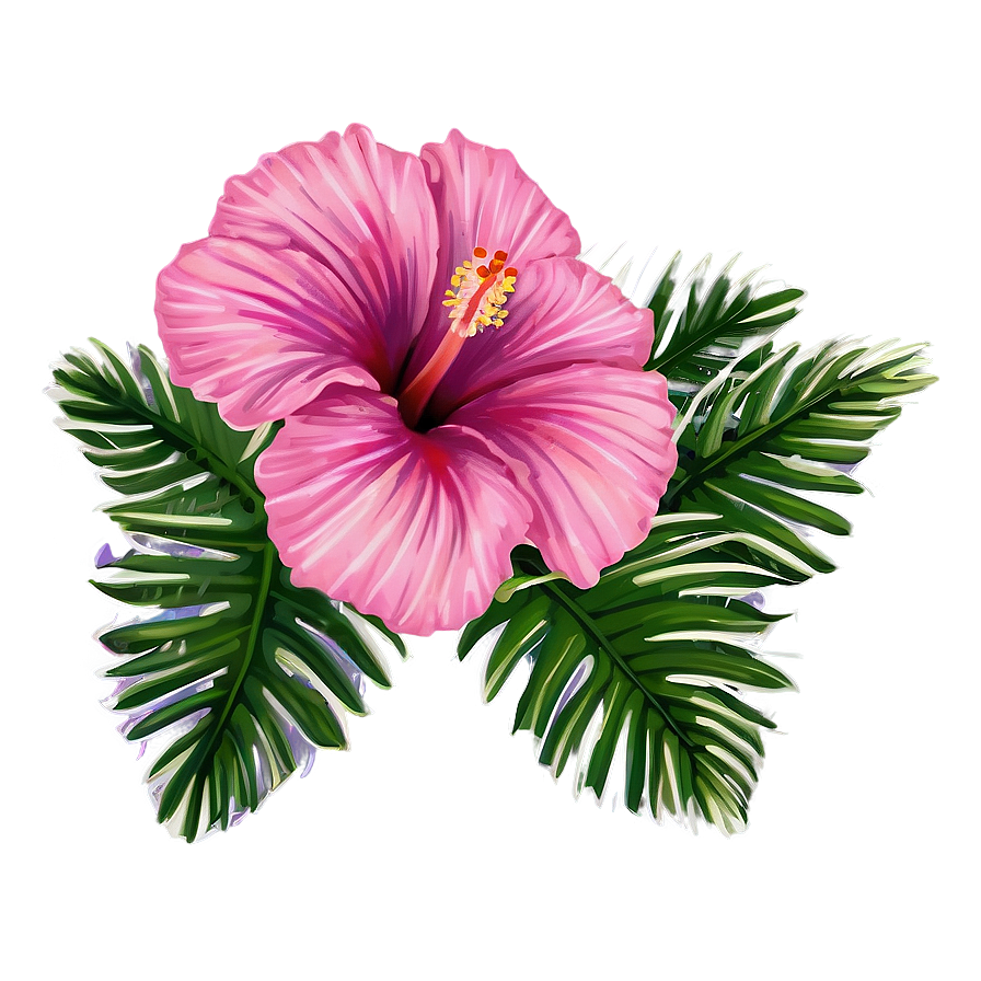 Pink Hibiscus Tropical Png 05242024 PNG Image