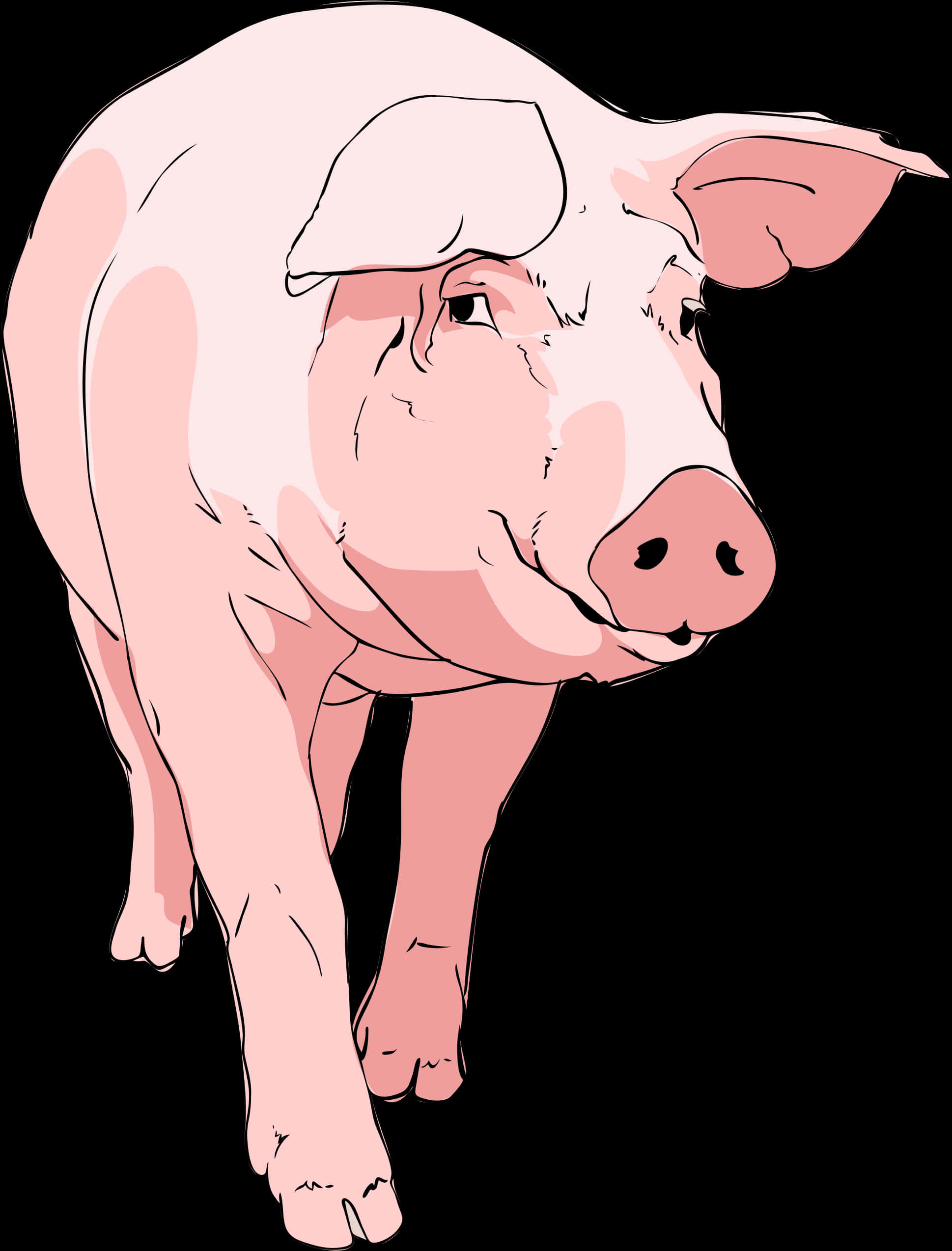 Pink Illustrated Pig PNG Image